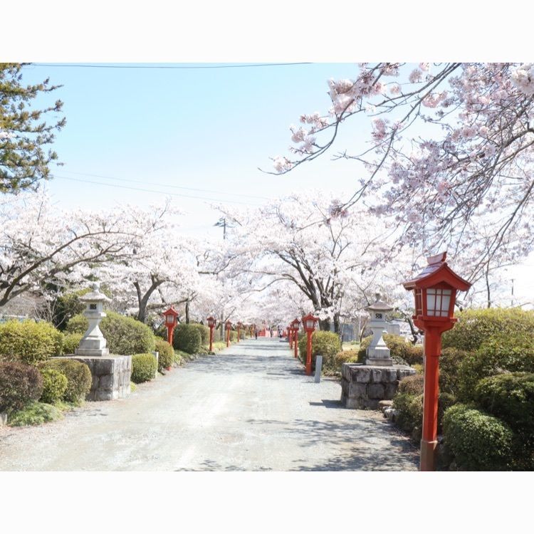 あっけさんが投稿した涼ヶ岡八幡宮に関する口コミの画像