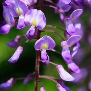 鳥羽水環境保全センター 2枚目