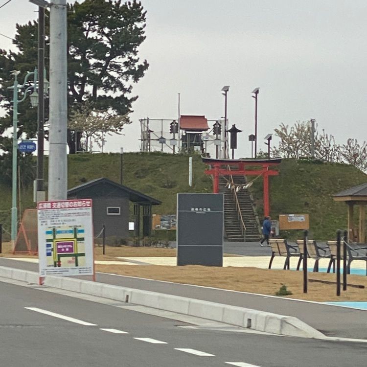 かめ_メグミさんが投稿したゆりあげ港朝市に関する口コミの画像