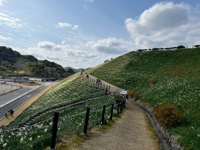 野母崎総合運動公園 4枚目