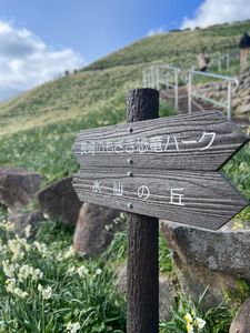 野母崎総合運動公園 6枚目