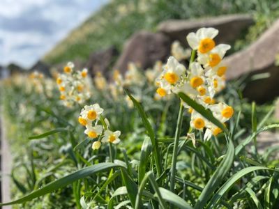 野母崎総合運動公園 8枚目
