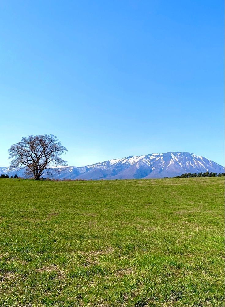 リリーさんが投稿した小岩井農場　ミルク館に関する口コミの画像