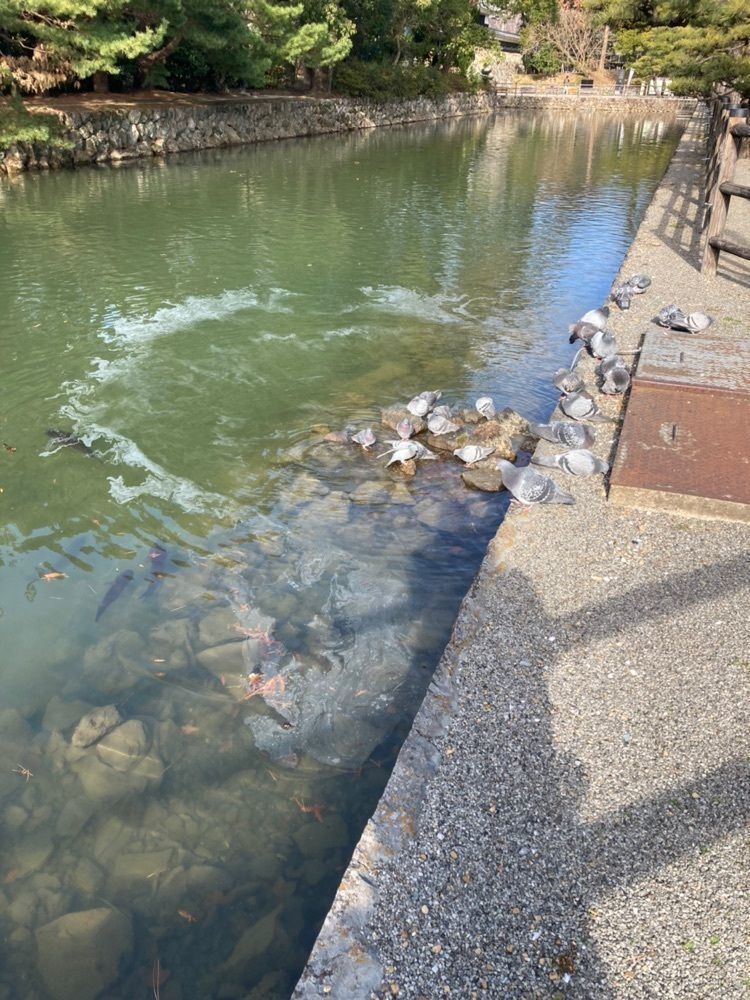 佳さんが投稿した高知城前駅に関する口コミの画像