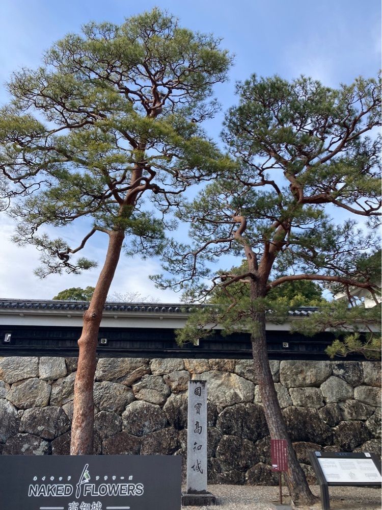 佳さんが投稿した高知城前駅に関する口コミの画像