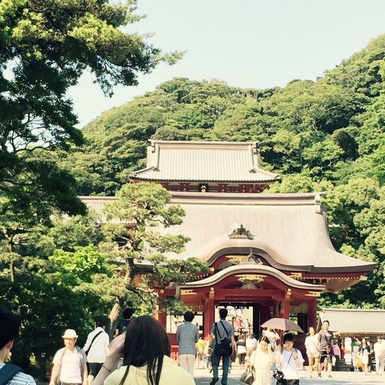 旅猫麻呂さんが投稿したGARDEN HOUSE Restaurantに関する口コミの画像