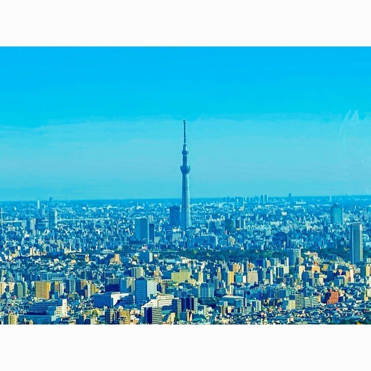 Yamadyさんが投稿したSKYCIRCUS サンシャイン60展望台に関する口コミの画像