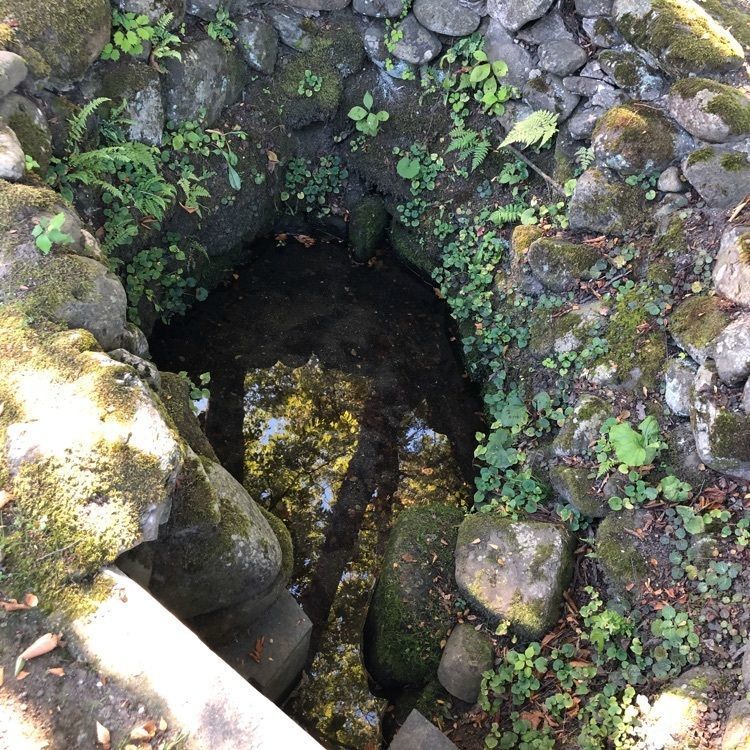 kazu&kinakoさんが投稿した美郷町に関する口コミの画像