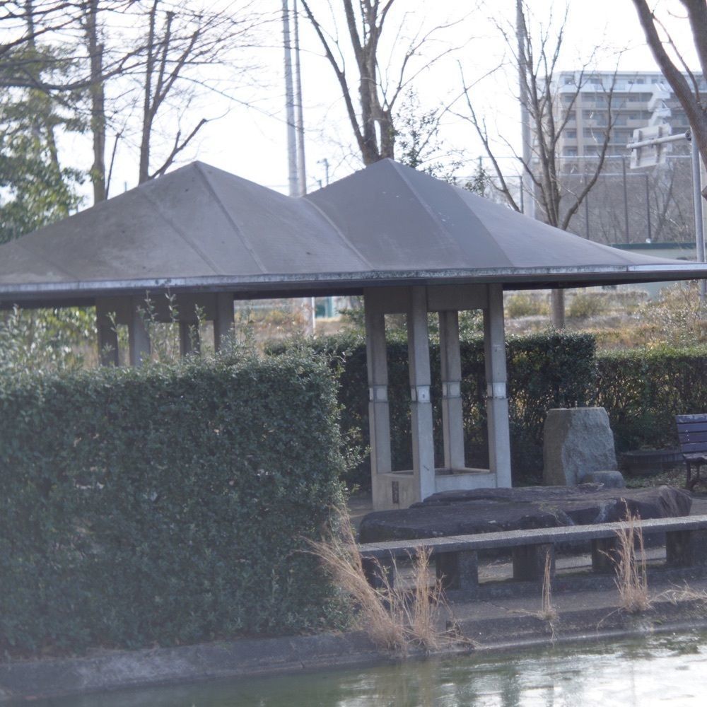 Shoさんが投稿した松見公園展望塔に関する口コミの画像