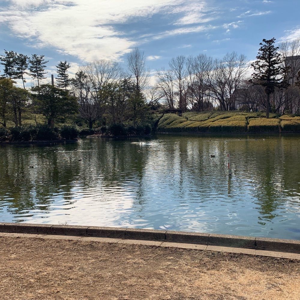 Shoさんが投稿した松見公園展望塔に関する口コミの画像