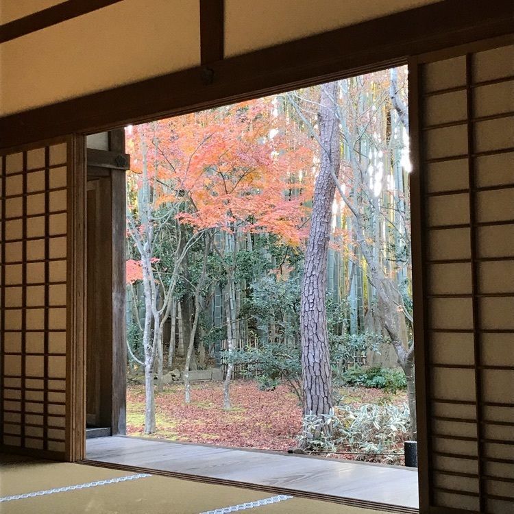 NBR OTさんが投稿した【拝観休止中】高桐院に関する口コミの画像