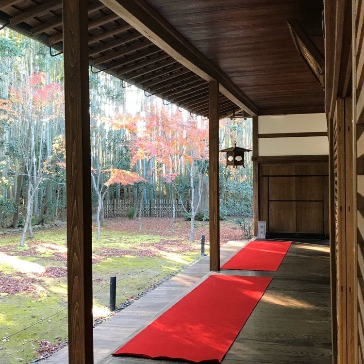 NBR OTさんが投稿した【拝観休止中】高桐院に関する口コミの画像