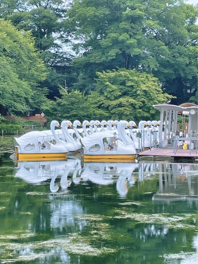 R.i.nさんが投稿したブルースカイコーヒーに関する口コミの画像
