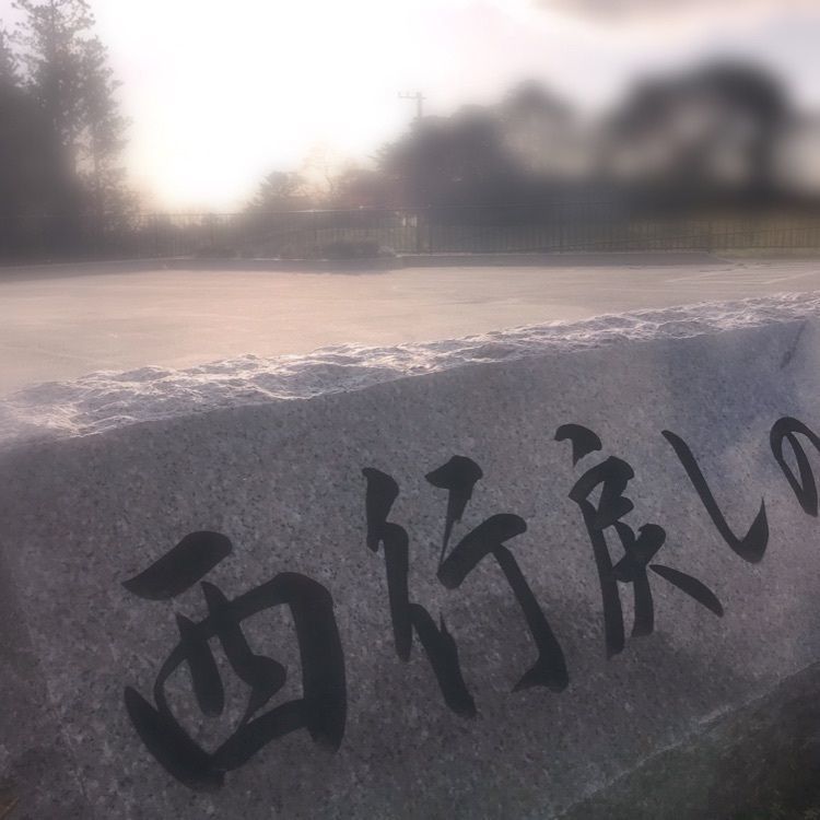 Musashiさんが投稿した西行戻しの松公園の桜に関する口コミの画像