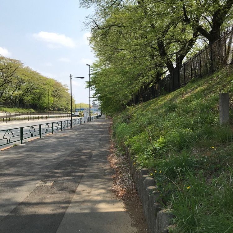 MICHIさんが投稿した都立野川公園に関する口コミの画像