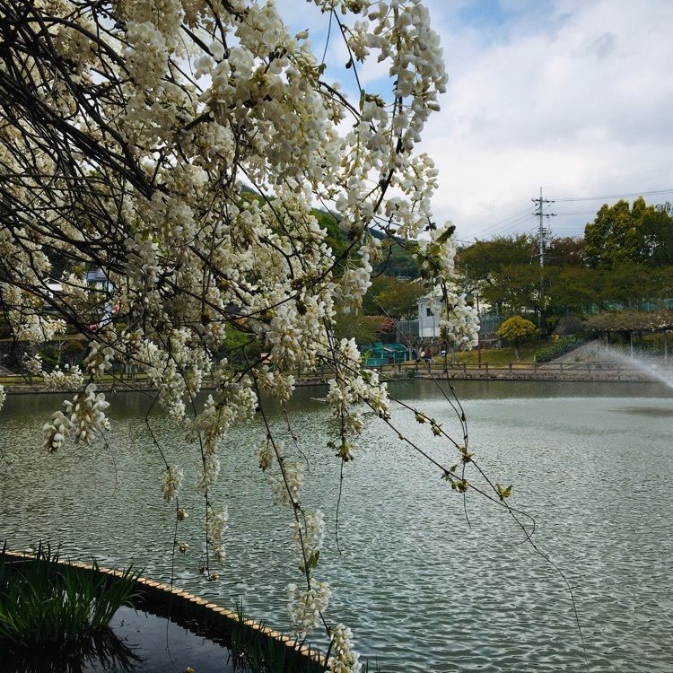 みーなさんが投稿した首無地蔵に関する口コミの画像
