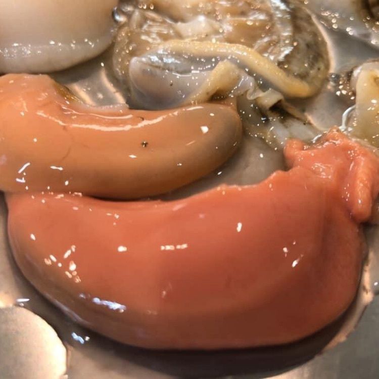 ＤＪゴン太さんが投稿した北のグルメに関する口コミの画像