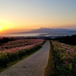 白木峰高原 5枚目