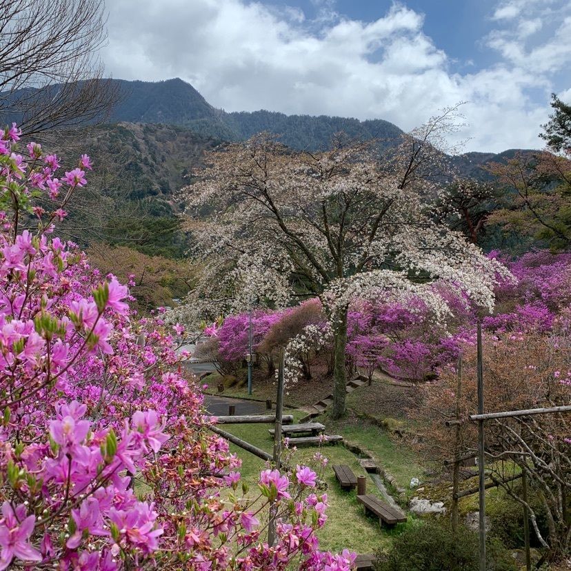 だるま大使さんが投稿した福沢桃介記念館・山の歴史館に関する口コミの画像