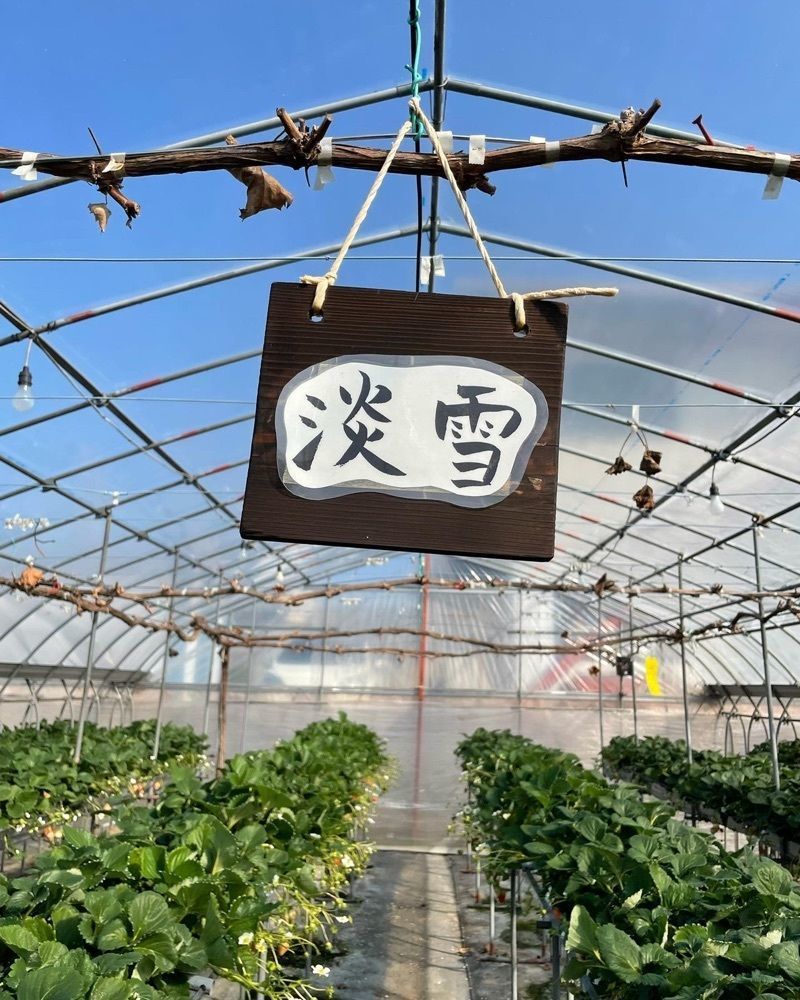 cool_culture_9717さんが投稿したゆきもと農園に関する口コミの画像