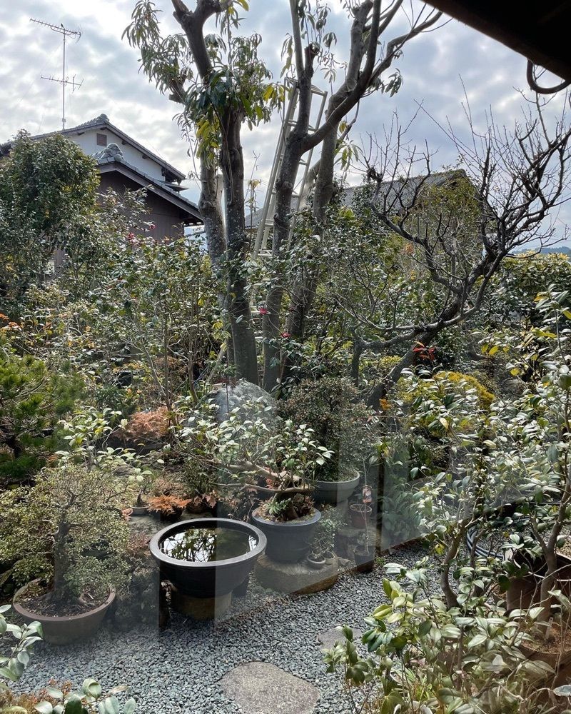 cool_culture_9717さんが投稿したかふぇ ごじんやに関する口コミの画像