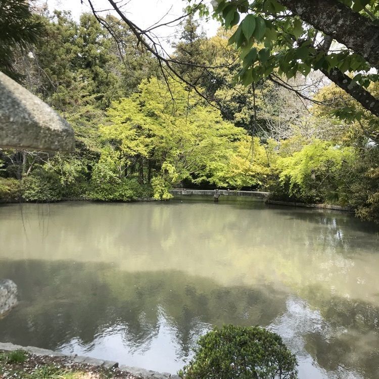 NBR OTさんが投稿した阿自岐神社庭園に関する口コミの画像