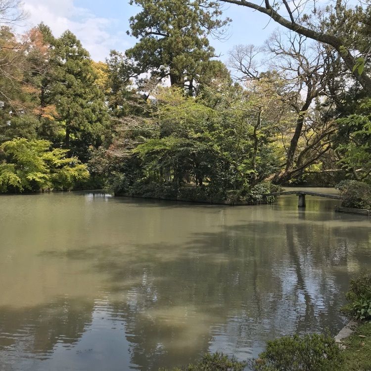NBR OTさんが投稿した阿自岐神社庭園に関する口コミの画像