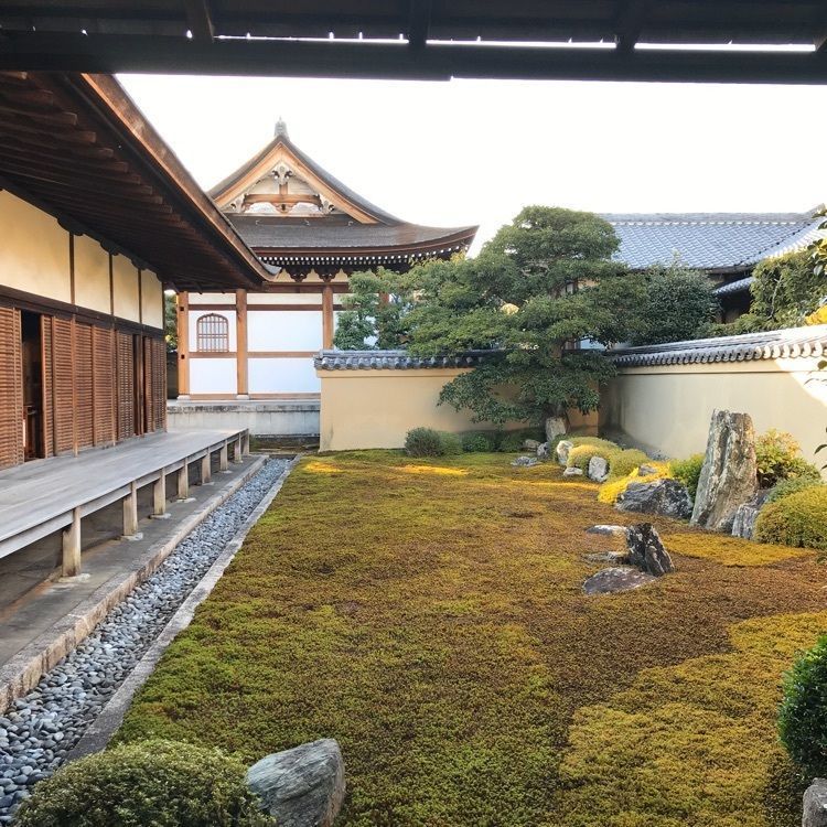 NBR OTさんが投稿した龍源院に関する口コミの画像