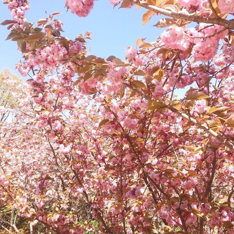 ruujunさんが投稿した鷲林寺に関する口コミの画像