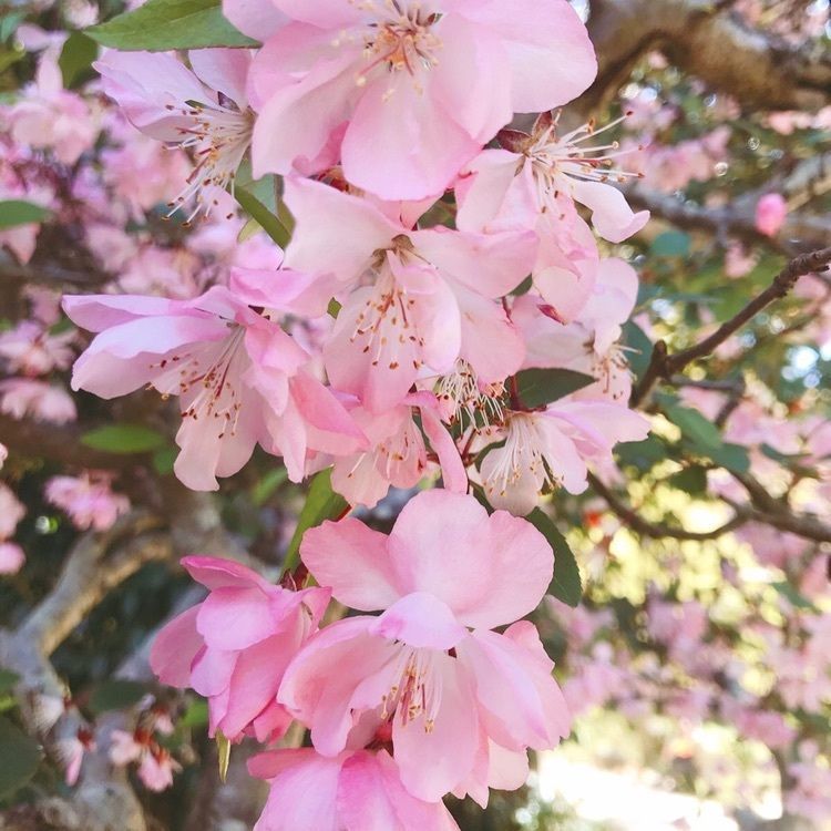 ruujunさんが投稿した鷲林寺に関する口コミの画像