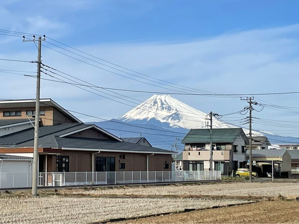 fumiさんが投稿した成福寺に関する口コミの画像