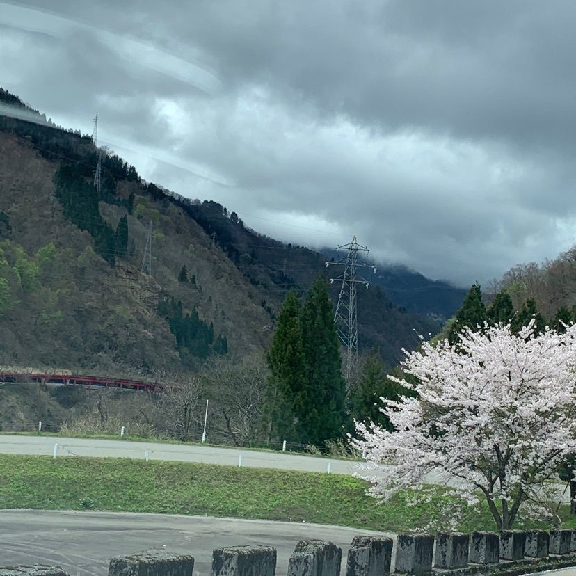 formal_cafeteria_bbd5さんが投稿した白山一里野公園に関する口コミの画像