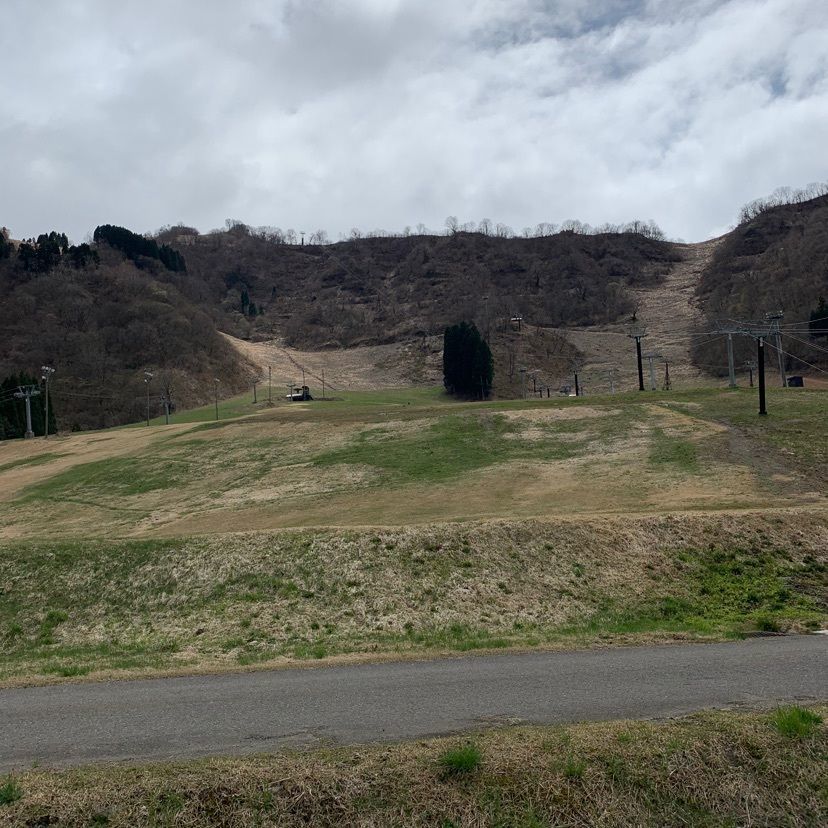 formal_cafeteria_bbd5さんが投稿した白山一里野公園に関する口コミの画像
