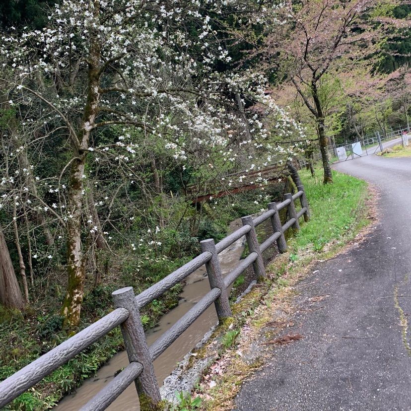 formal_cafeteria_bbd5さんが投稿した七ツ滝に関する口コミの画像