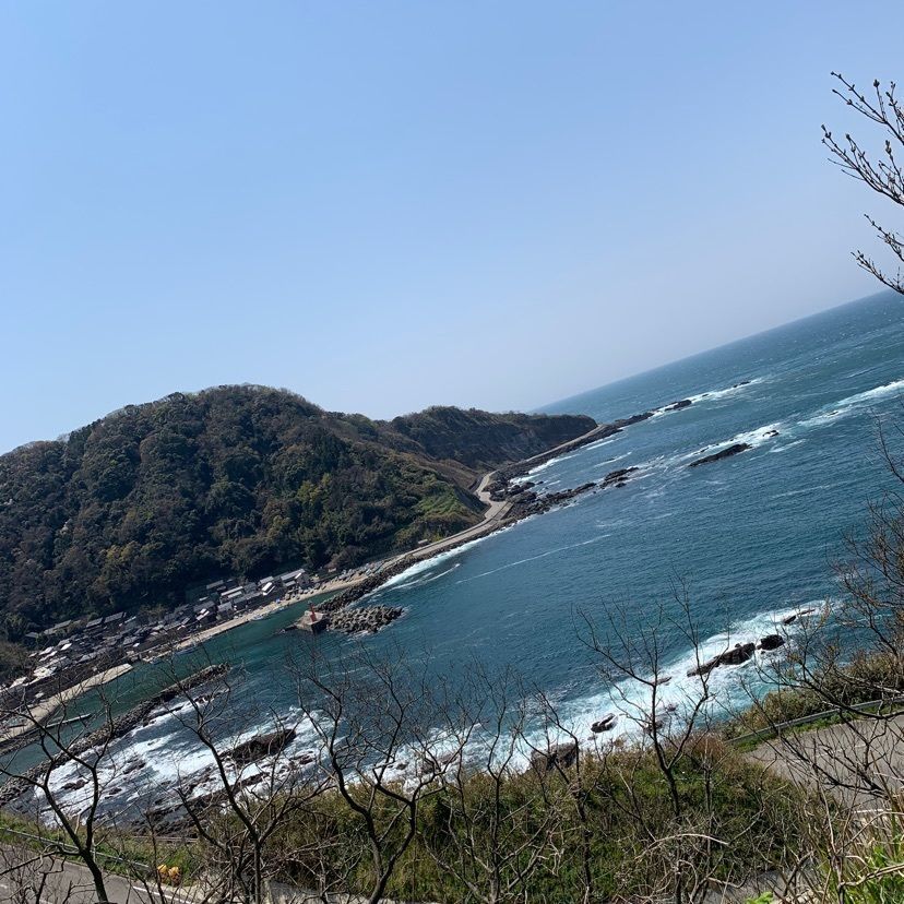 formal_cafeteria_bbd5さんが投稿したゾウゾウ鼻に関する口コミの画像