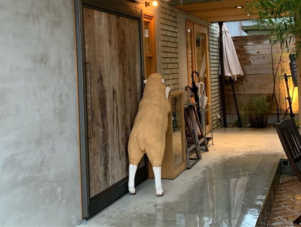 おでかけ探検部さんが投稿したティコラッテEaTに関する口コミの画像