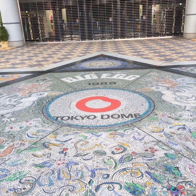 たま(^.^)さんが投稿したピザーラエクスプレス 東京ドーム店に関する口コミの画像