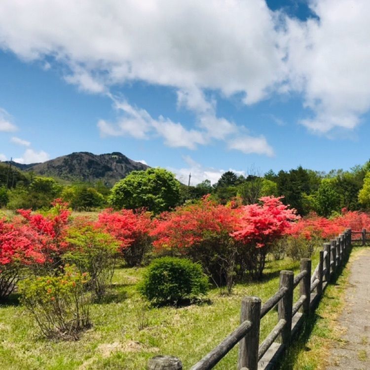 Hy0804さんが投稿した栃木県県民の森に関する口コミの画像