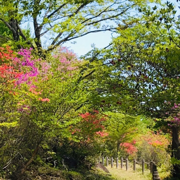 Hy0804さんが投稿した栃木県県民の森に関する口コミの画像
