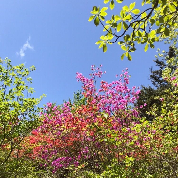 Hy0804さんが投稿した栃木県県民の森に関する口コミの画像