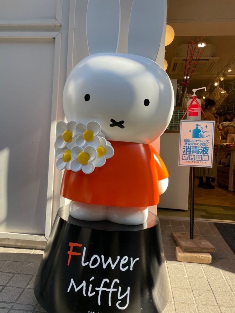norieの画像