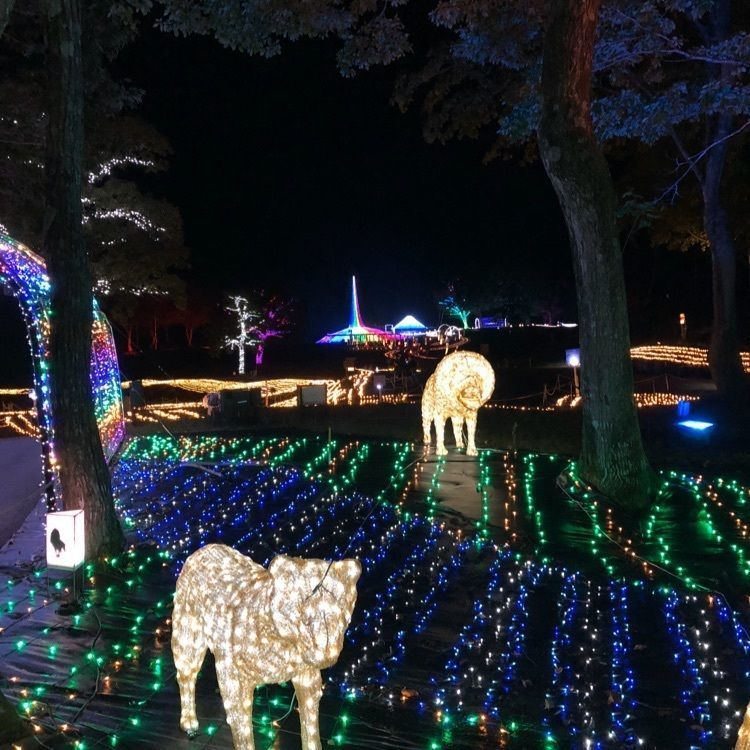 からっ風さんが投稿したアパリゾート 上越妙高（APA RESORT【旧店名】妙高パインバレー）に関する口コミの画像