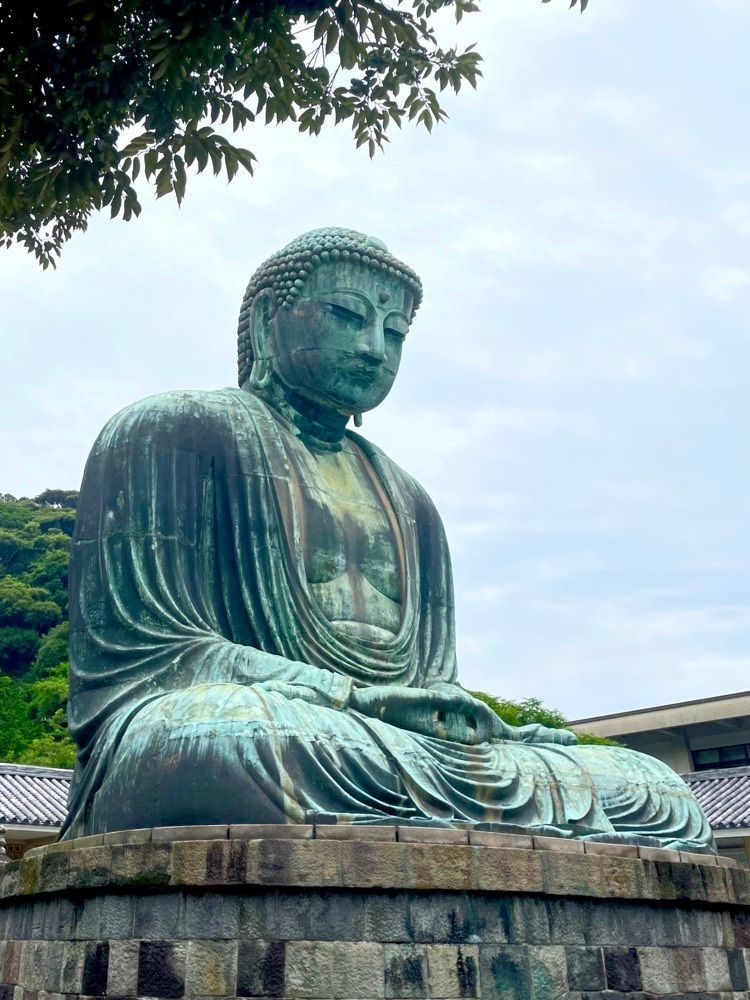 リリーの画像