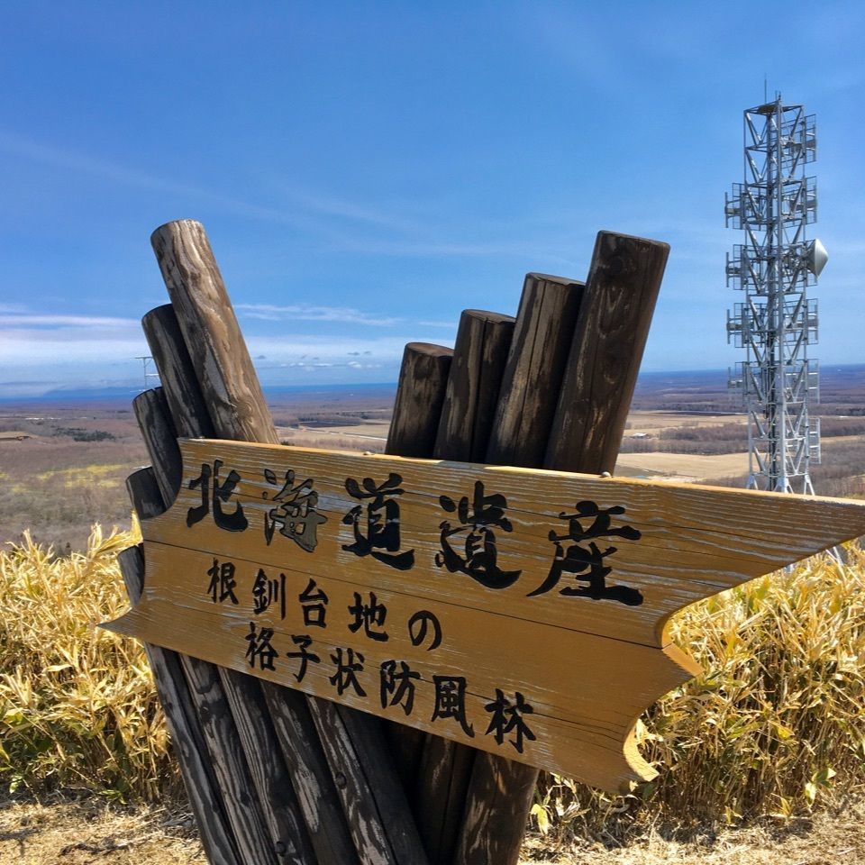 yoshiさんが投稿した武佐岳に関する口コミの画像
