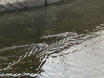 カメラのキタムラ 磐田／今之浦店