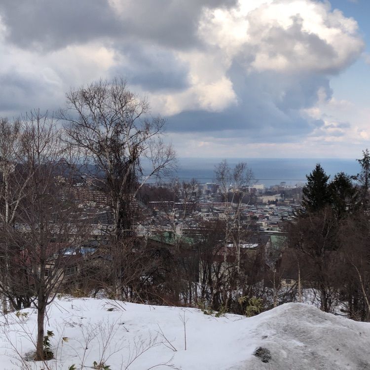 fresh_mall_b941さんが投稿した小樽天狗山スキー場に関する口コミの画像