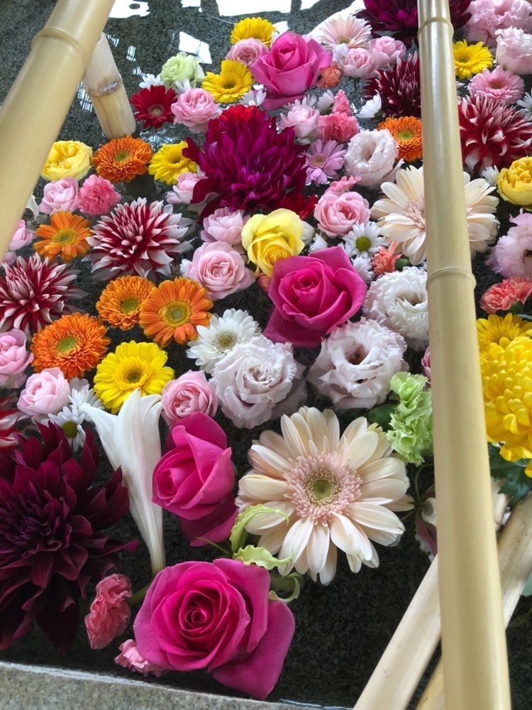 花❁⃘華  さんが投稿した松前町に関する口コミの画像
