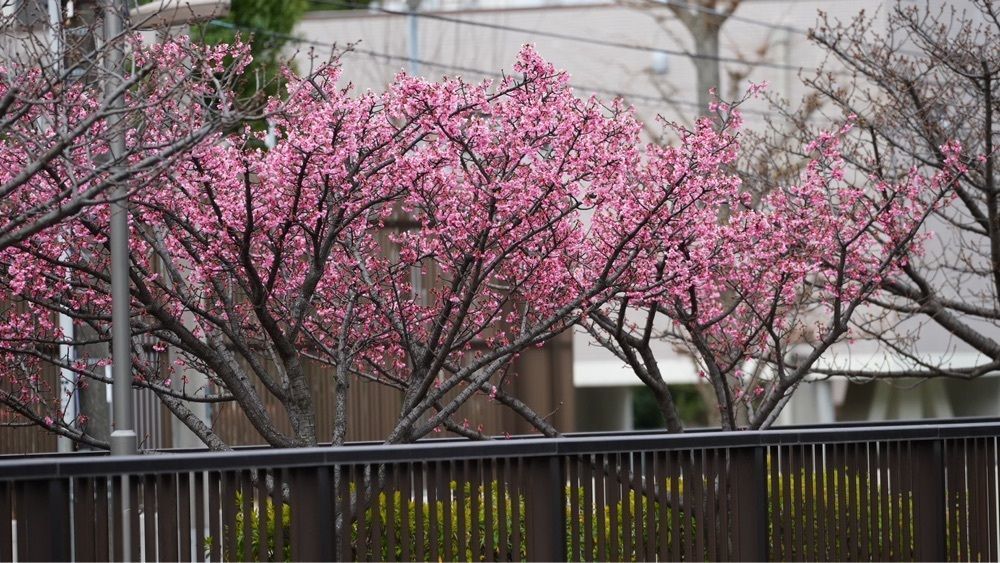 jamesさんが投稿した木場公園売店に関する口コミの画像