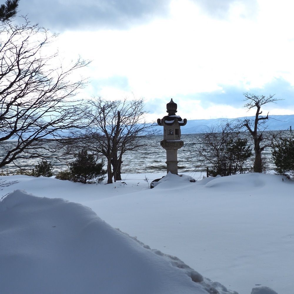 Shoさんが投稿したしぶき氷に関する口コミの画像