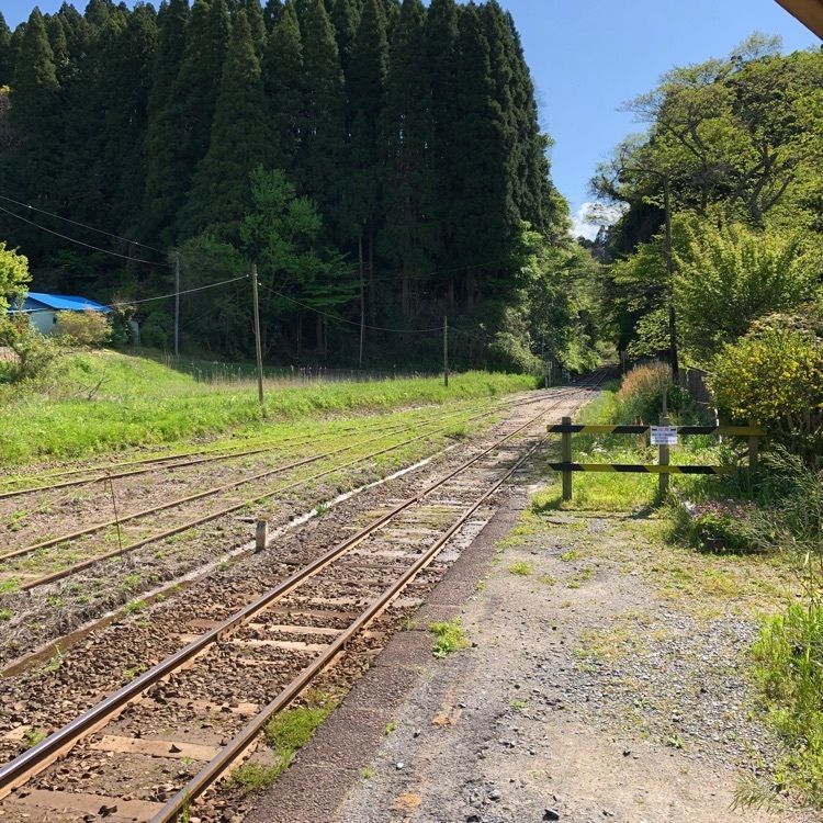 yuu0519さんが投稿した月崎駅に関する口コミの画像